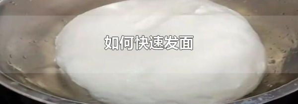 如何快速发面