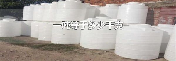 一吨等于多少千克