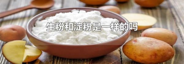 生粉和淀粉是一样的吗