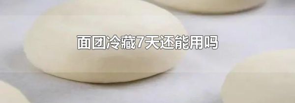 面团冷藏7天还能用吗
