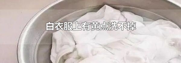 白衣服上有黄点洗不掉