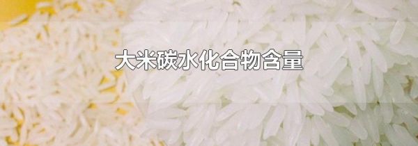 大米碳水化合物含量