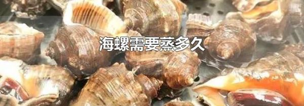 海螺需要蒸多久