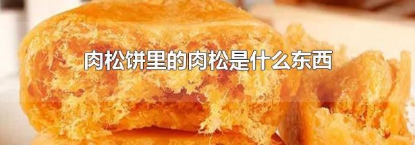 肉松饼里的肉松是什么东西
