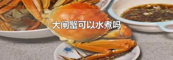 大闸蟹可以水煮吗