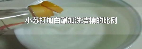 小苏打加白醋加洗洁精的比例