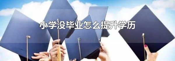 小学没毕业怎么提升学历