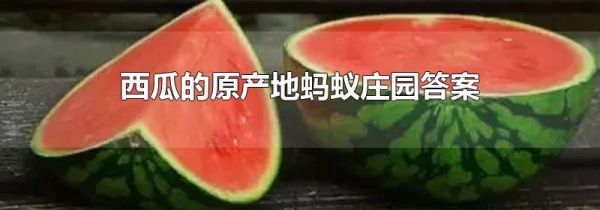 西瓜的原产地蚂蚁庄园答案