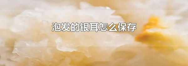 泡发的银耳怎么保存