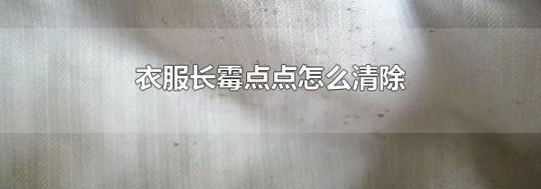 衣服长霉点点怎么清除