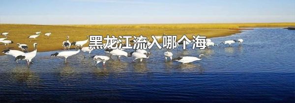 黑龙江流入哪个海