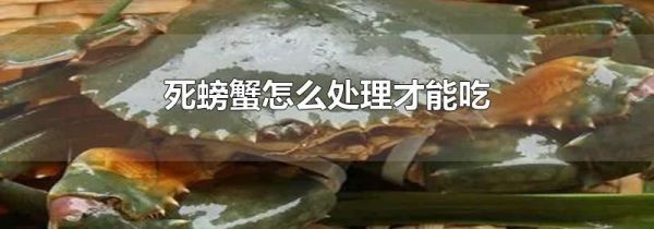 死螃蟹怎么处理才能吃