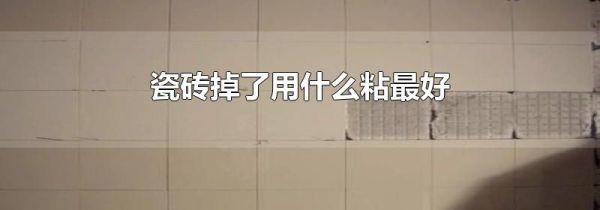 瓷砖掉了用什么粘最好