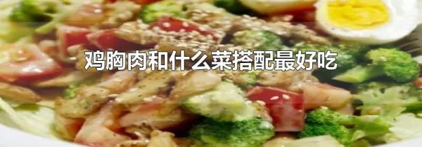 鸡胸肉和什么菜搭配最好吃