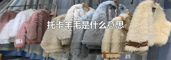 托卡羊毛是什么意思