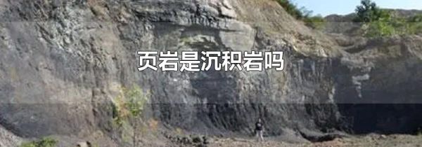 页岩是沉积岩吗