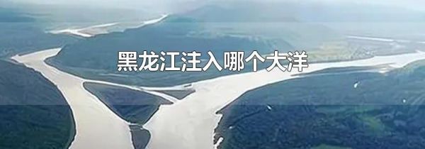 黑龙江注入哪个大洋