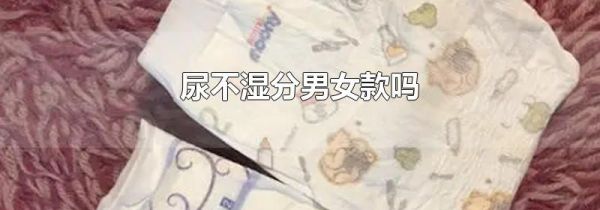 尿不湿分男女款吗