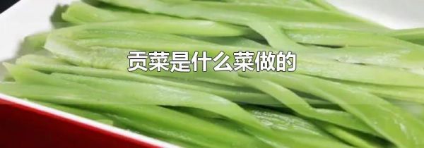 贡菜是什么菜做的
