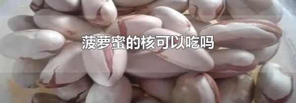 菠萝蜜的核可以吃吗