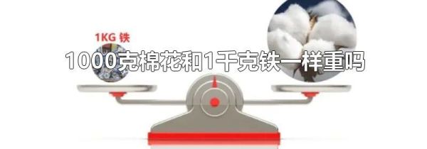 1000克棉花和1千克铁一样重吗