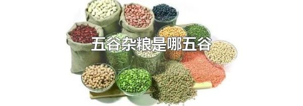 五谷杂粮是哪五谷