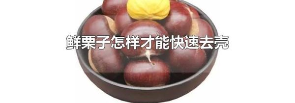 鲜栗子怎样才能快速去壳