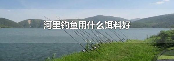 河里钓鱼用什么饵料好