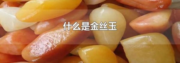 什么是金丝玉