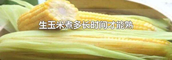 生玉米煮多长时间才能熟