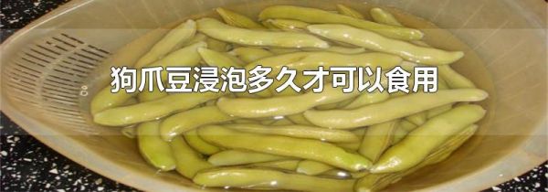 狗爪豆浸泡多久才可以食用