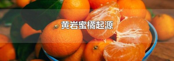 黄岩蜜橘起源