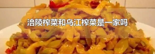 涪陵榨菜和乌江榨菜是一家吗