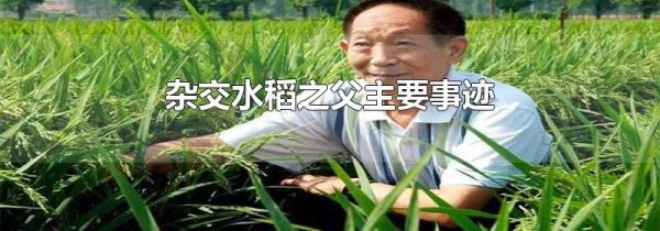 杂交水稻之父主要事迹