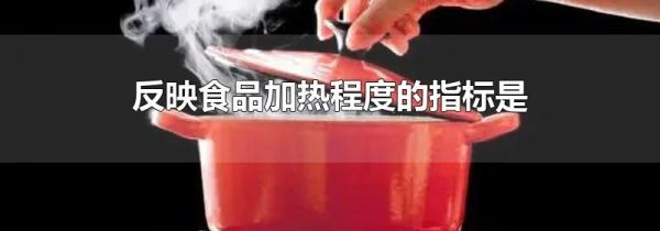 反映食品加热程度的指标是