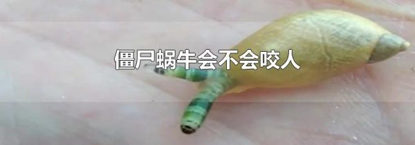 僵尸蜗牛会不会咬人