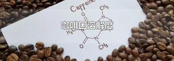 咖啡因溶解度