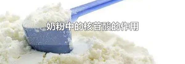 奶粉中的核苷酸的作用