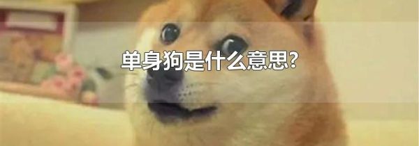 单身狗是什么意思?