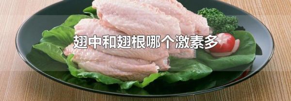 翅中和翅根哪个激素多