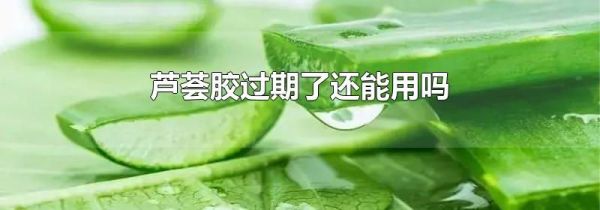 芦荟胶过期了还能用吗