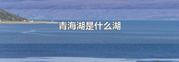 青海湖是什么湖