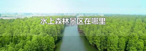水上森林景区在哪里