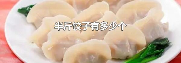 半斤饺子有多少个