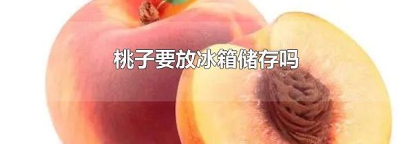 桃子要放冰箱储存吗