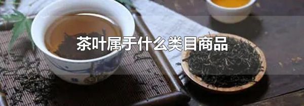 茶叶属于什么类目商品