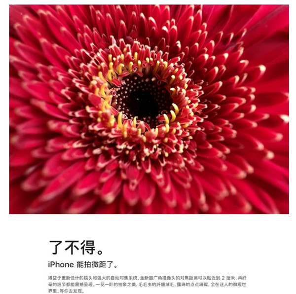 苹果13pro有微距吗