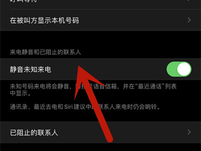 苹果11怎么设置骚扰电话自动拦截