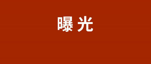 iphone13官方图颜色  iphone13官方保护壳曝光