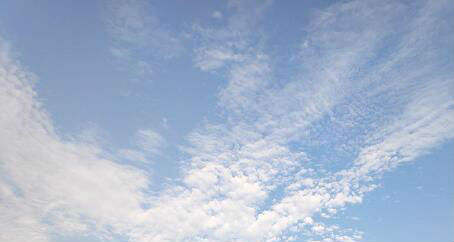 安卓12新功能特性曝光  安卓12更新什么内容